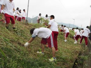 わんぱく広場の清掃活動。草だらけだった広場周辺がさっぱりすっきり！