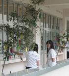 7月といえば