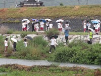 金剛川清掃活動