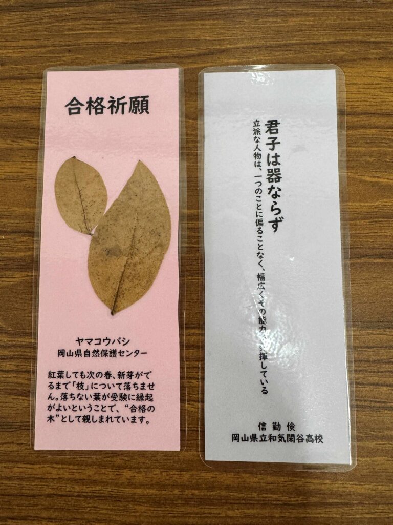 ヤマコウバシのしおりを今年も和気神社で配布します🍂
