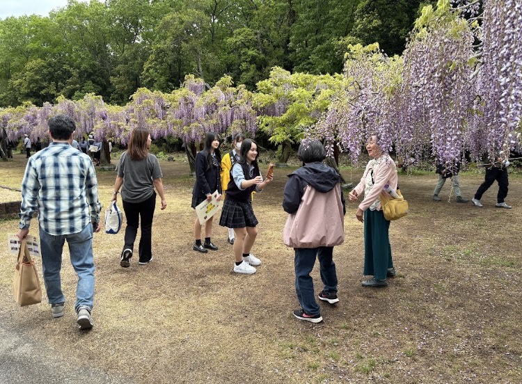 ２年生 藤公園でボランティア
