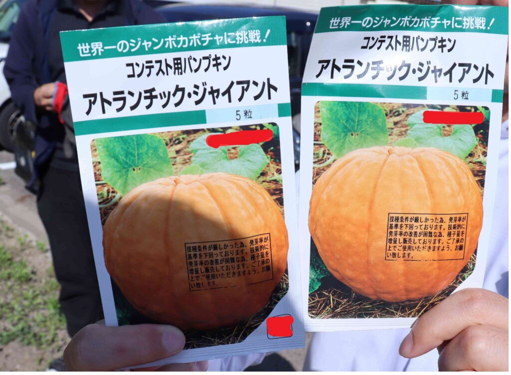 畑作ります！